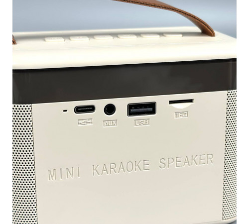 Колонка K19-2 з 2-ма мікрофонами, Bluetooth, SD, FM та підсвіткою (12,5*9*7,5см)