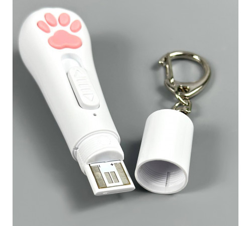 Лазерна указка ZK-2381L (LED+UV, 4 картинки, вбудований акумулятор, USB)