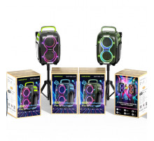 Колонка HOPESTAR PARTYONE CLUB з 2-ма мікрофонами 650W, 36000mAh (55,8*34,1*29,5 см)