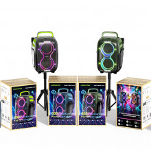 Колонка HOPESTAR PARTYONE CLUB з 2-ма мікрофонами 650W, 36000mAh (55,8*34,1*29,5 см)