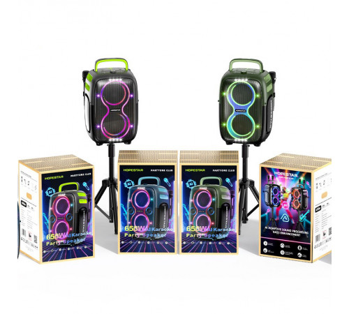 Колонка HOPESTAR PARTYONE CLUB з 2-ма мікрофонами 650W, 36000mAh (55,8*34,1*29,5 см)