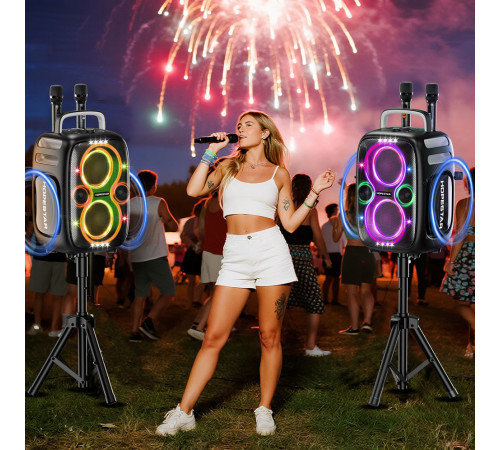 Колонка HOPESTAR PARTYONE CLUB з 2-ма мікрофонами 650W, 36000mAh (55,8*34,1*29,5 см)