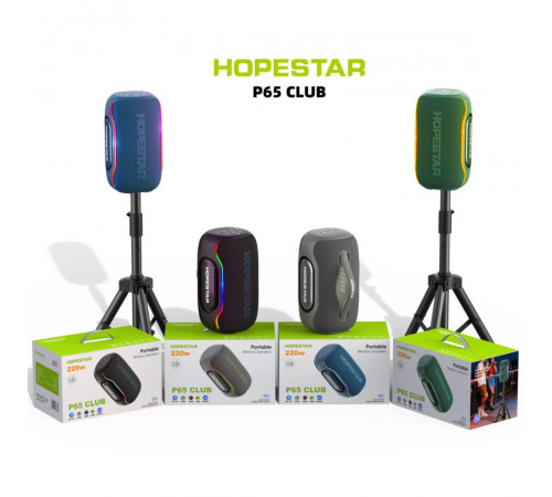 Колонка HOPESTAR P65 Club 220W, 24000mAh (11,1*11,1*11,1 см)