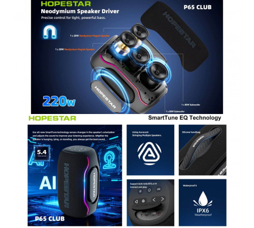 Колонка HOPESTAR P65 Club 220W, 24000mAh (11,1*11,1*11,1 см)