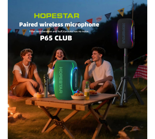 Колонка HOPESTAR P65 Club 220W, 24000mAh (11,1*11,1*11,1 см)