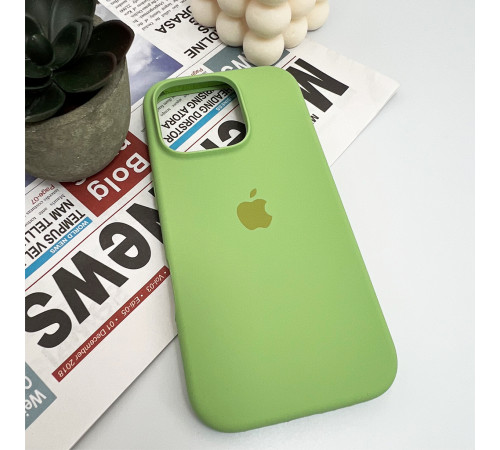 Чохол для смартфона Silicone Full Case AA Open Cam for Apple iPhone 16 Pro Max 1,Mint (FullOpenAAi16PM-1)