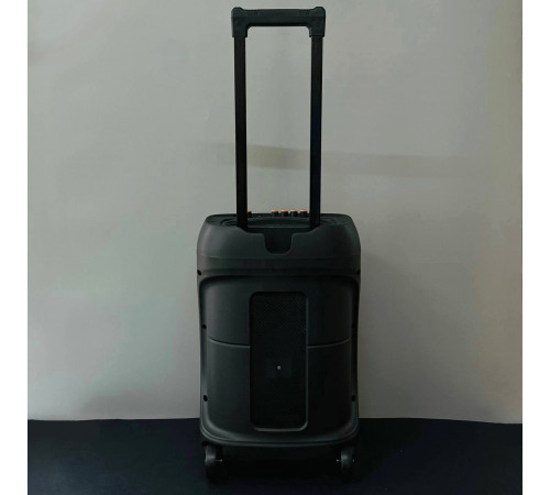 УЦІНКА Колонка VIP JT-1288 з RGB-підсвічуванням та мікрофоном (36,2*31,7*55 см) (відірвана сітка)