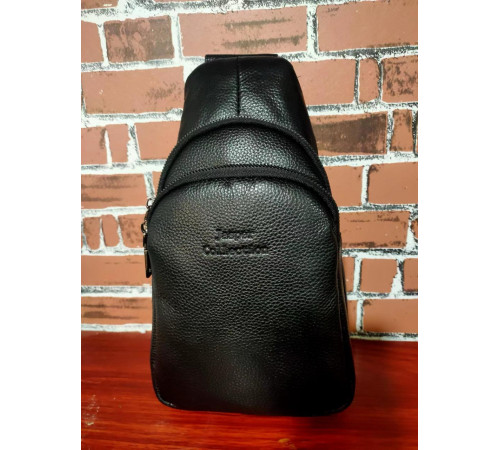 Сумка ШКІРА Backpack 603 (100)