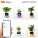 Інтерактивний розумний горщик для рослин Ivy Smart Planter Tuya AI, Purple (ISPTAPR)