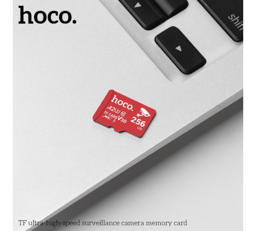 Карта пам'яті Hoco 256Gb 10 Class U-3 Ultra-high-speed (без адаптера)