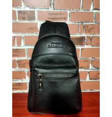 Сумка ШКІРА Backpack 602 (100)