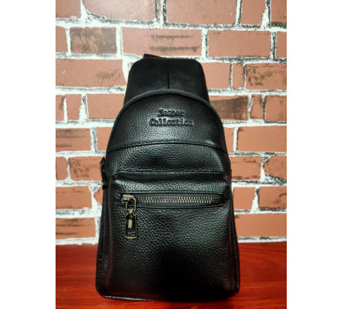 Сумка ШКІРА Backpack 602 (100)