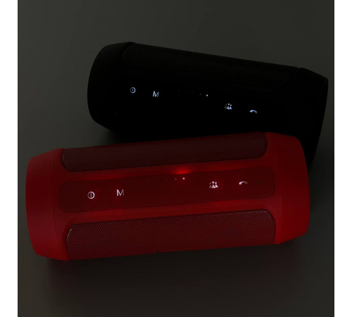 Колонка CHARGE 2+ (18,0*7,0 см)