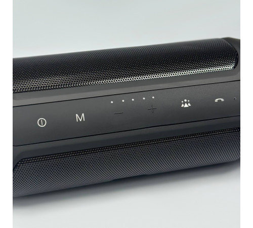 Колонка CHARGE 2+ (18,0*7,0 см)