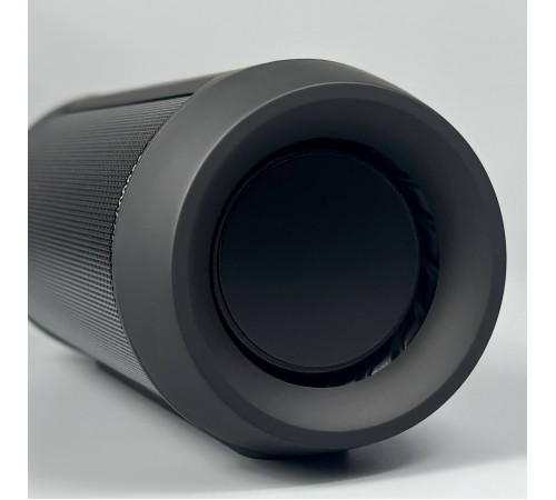 Колонка CHARGE 2+ (18,0*7,0 см)