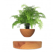 Магнітний левітаційний горщик для рослин HCNT Magnetic Levitating Pot M10-PS Wood Grain (SIM10-PS)