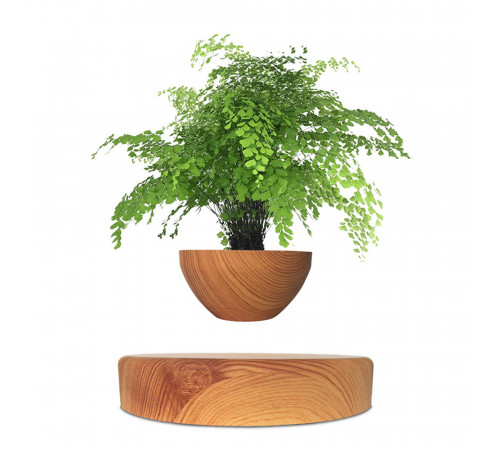 Магнітний левітаційний горщик для рослин HCNT Magnetic Levitating Pot M10-PS Wood Grain (SIM10-PS)