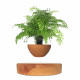 Магнітний левітаційний горщик для рослин HCNT Magnetic Levitating Pot M10-PS Wood Grain (SIM10-PS)