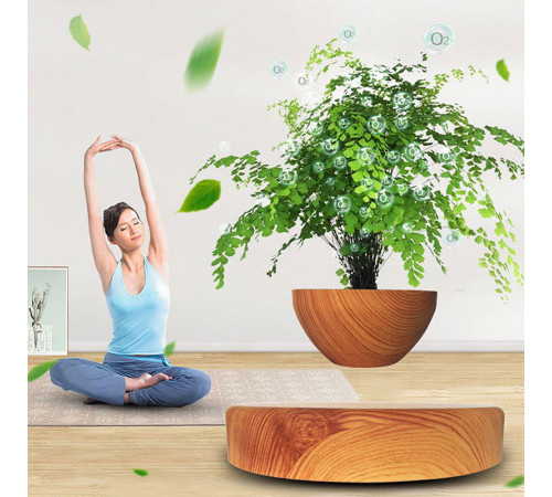 Магнітний левітаційний горщик для рослин HCNT Magnetic Levitating Pot M10-PS Wood Grain (SIM10-PS)