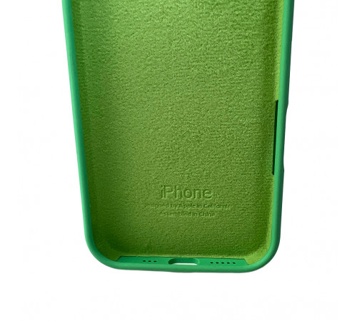 Чохол для смартфона Silicone Full Case AA Open Cam for Apple iPhone 16 30,Spearmint (FullOpeAAi16-30)