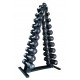 Гантельный ряд RN-Sport BLACK 1-10 кг со стойкой