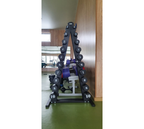 Гантельный ряд RN-Sport BLACK 1-10 кг со стойкой