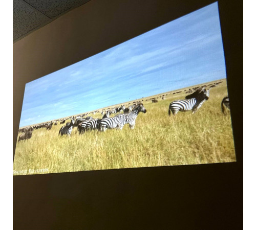 Проектор HY300 (Android 12, 120 lumen, Bluetooth+WiFi, 1280*720P)