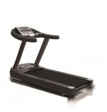 Беговая дорожка Vigor XPL1700