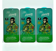 Захисне скло 99H Privacy iPhone 16 Pro Max