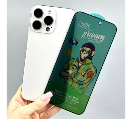 Захисне скло 99H Privacy iPhone 16 Pro Max