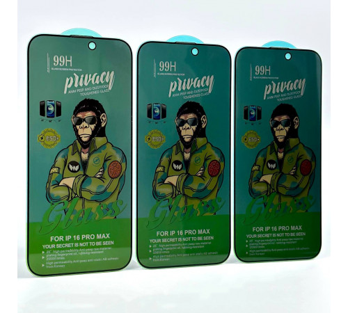Захисне скло 99H Privacy iPhone 16 Pro Max