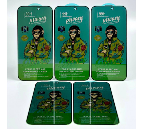 Захисне скло 99H Privacy iPhone 16 Pro Max