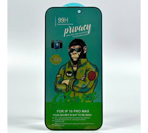 Захисне скло 99H Privacy iPhone 16 Pro Max