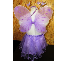 AA2431 Набір Феї. Мікс. 5 фото.