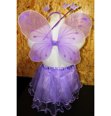 AA2431 Набір Феї. Мікс. 5 фото.