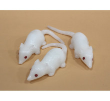 AA3055 Лизун Белая Мышь.