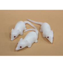 AA3055 Лізун Біла Миша.