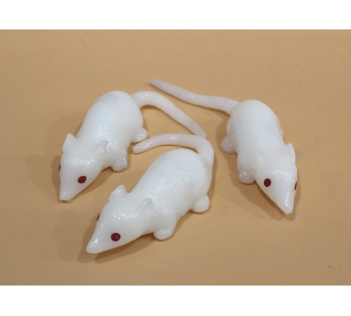 AA3055 Лізун Біла Миша.