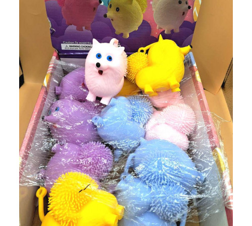 AA3813 Собака Піна