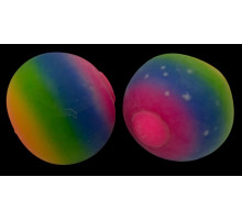 aa3978 Пена мяч Веселка