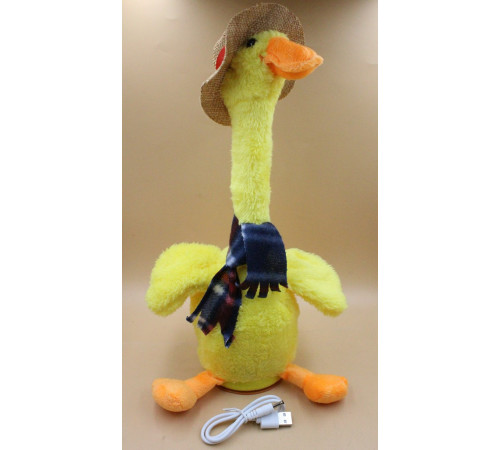 АА3980 Качка Танцююча