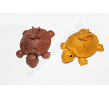 AA697 Черепаха лизун