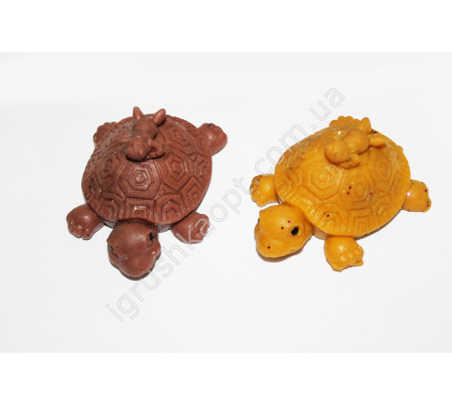 AA697 Черепаха лизун