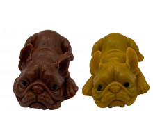 AA699 Лізун Собака.