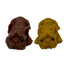 AA699 Лізун Собака.