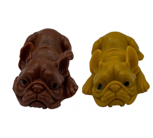 AA699 Лізун Собака.