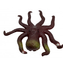 AA704 Восьминіг кольоровий гумовий