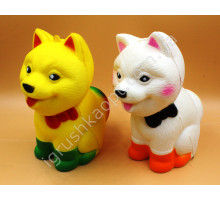 АА852 Сквіш Собака