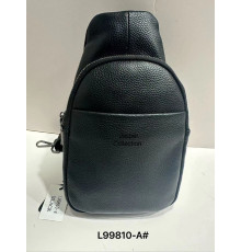 Сумка Чоловіча Чорна Backpack for men  JASPER Шкіра L99810-a (100)