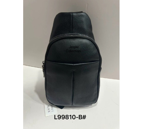 Сумка    Мужская Черная  Backpack for men  JASPER  Кожа L99810-b    (100)